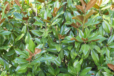 Similar image 22038633