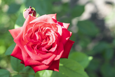 Similar image 22038635