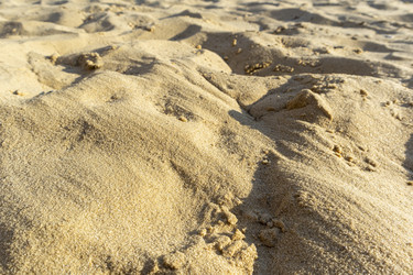 Similar image 22038636