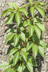 Similar image 22038641