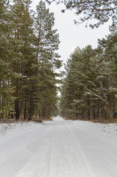 Similar image 22038642