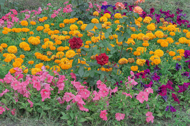 Similar image 22038927