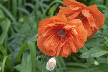 Similar image 22038929