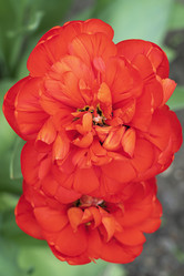 Similar image 22038931