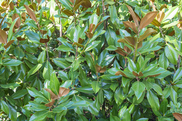 Similar image 22038939