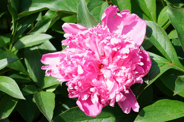 Similar image 22038941