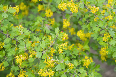 Similar image 22038942