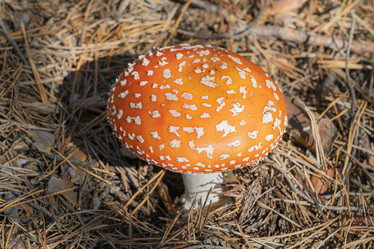 Similar image 22038946