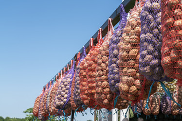 Similar image 22038955