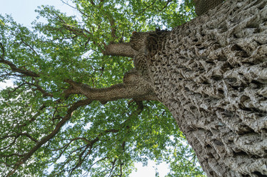 Similar image 22038959