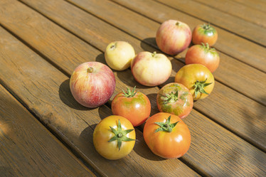 Similar image 22038961