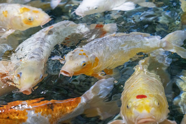 Similar image 22038964