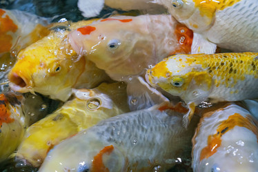 Similar image 22038970