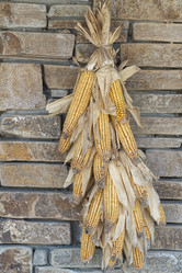 Similar image 22038972