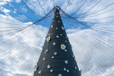 Similar image 22038975