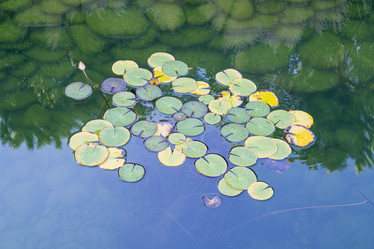 Similar image 22038983