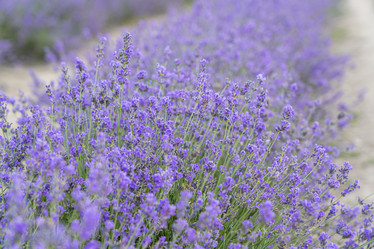 Similar image 22038988