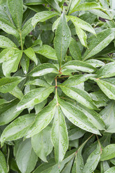 Similar image 22038992