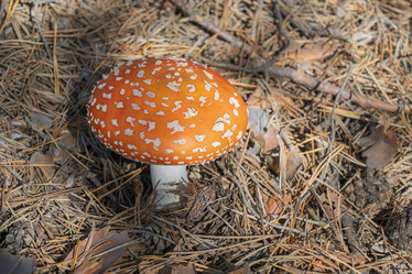 Similar image 22038993