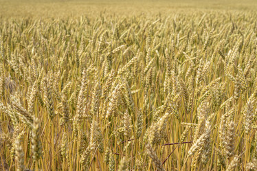 Similar image 22038999