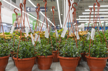 Similar image 22039000