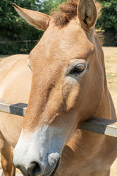 Similar image 22039002