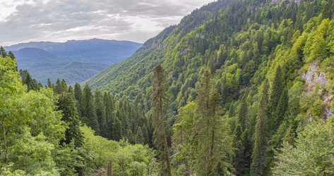 Similar image 22036988