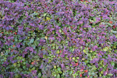 Similar image 22038332