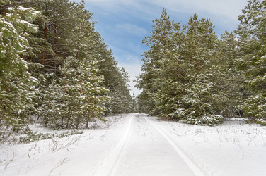 Similar image 22038335