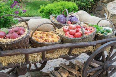 Similar image 22038344