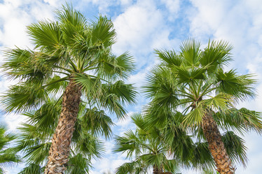 Similar image 22038345