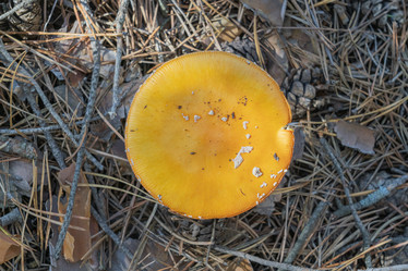 Similar image 22038347