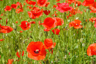 Similar image 22038644