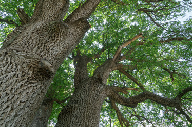 Similar image 22038645