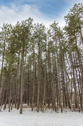 Similar image 22038653