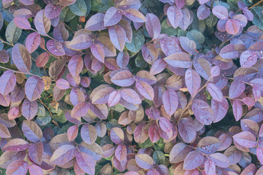 Similar image 22038656