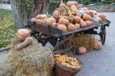 Similar image 22038657