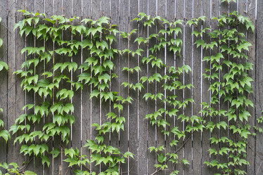 Similar image 22038658