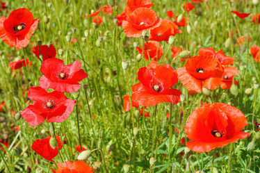 Similar image 22038659