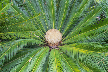 Similar image 22038662