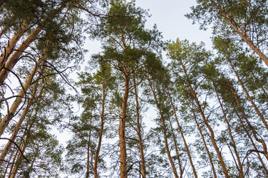 Similar image 22038664