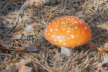 Similar image 22038665