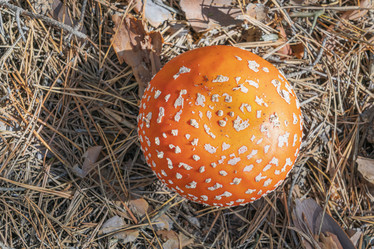 Similar image 22039004