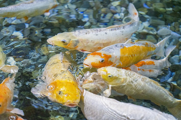 Similar image 22039007