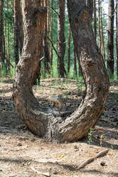 Similar image 22039008