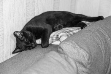 Similar image 22039010