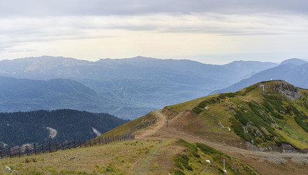 Similar image 22039011