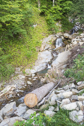 Similar image 22039013