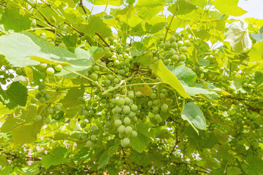 Similar image 22039014