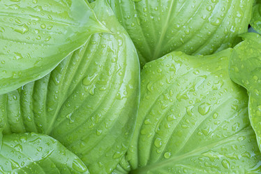 Similar image 22039018